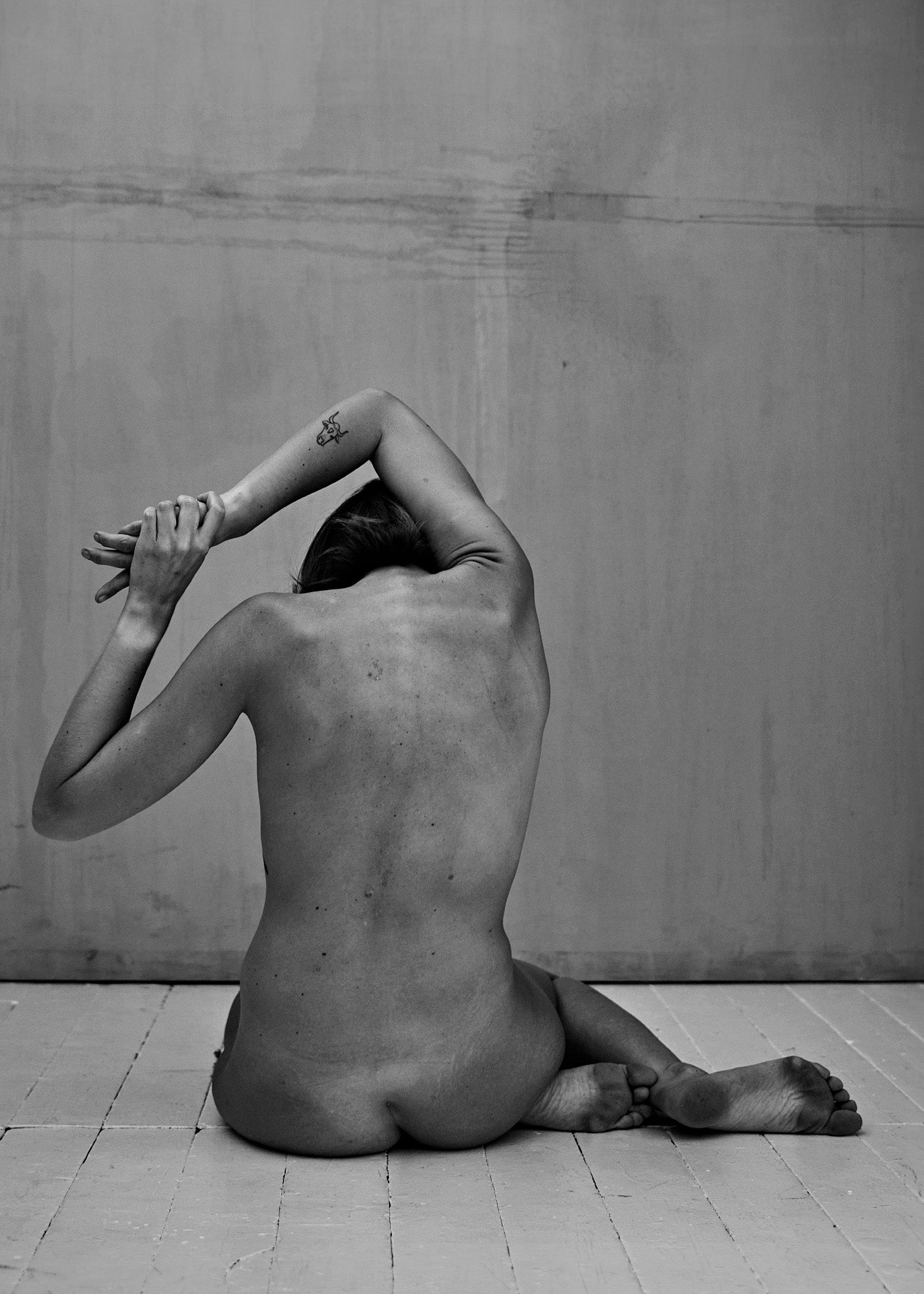 HUMAN DESIGN MODEL 7.1.1