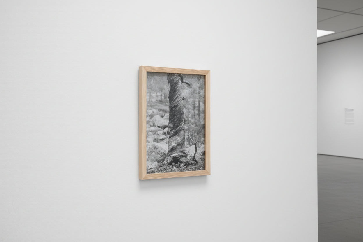 Cowardly Team - Arild Heitmann