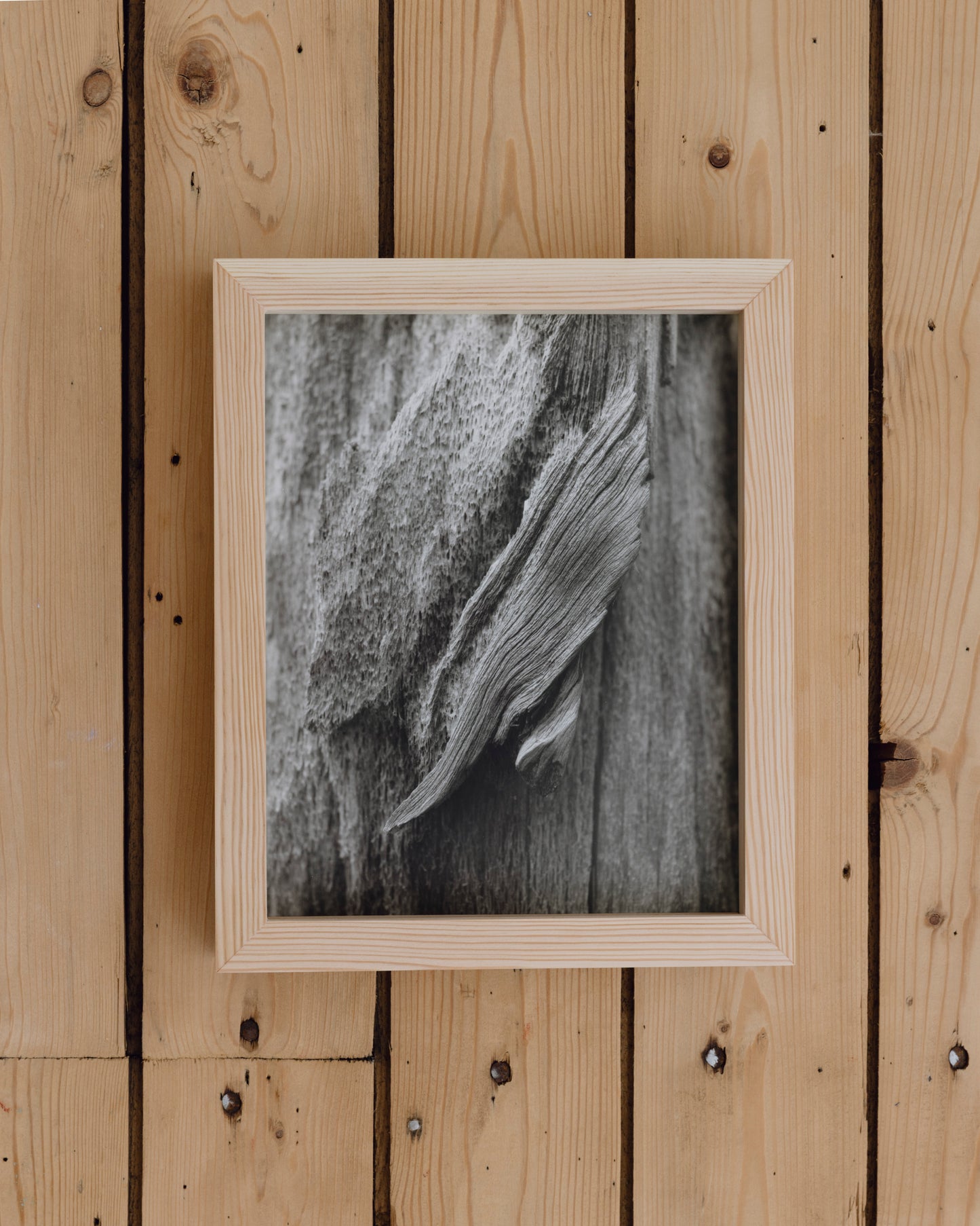 Mønster på innerbork, Pasvik (2025) - Johanne Nyborg