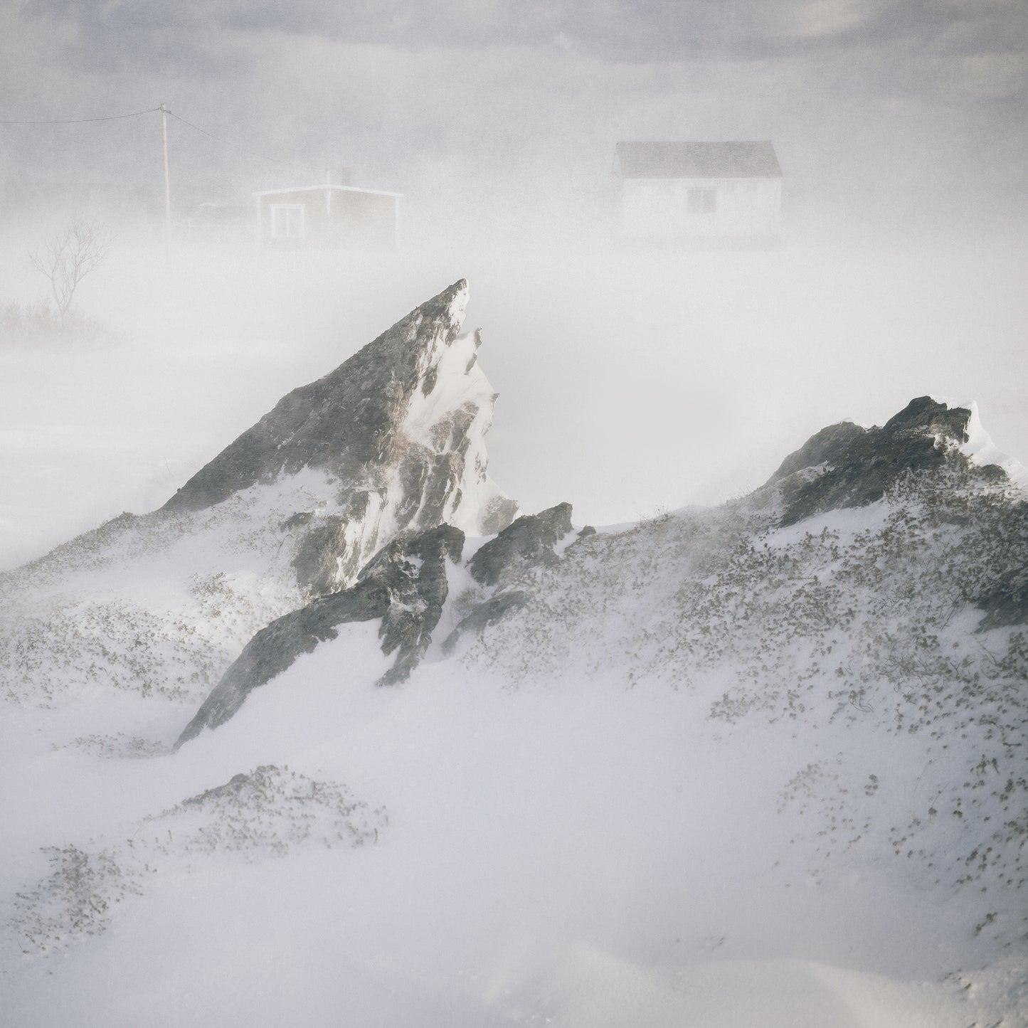 Arctic Living - Arild Heitmann