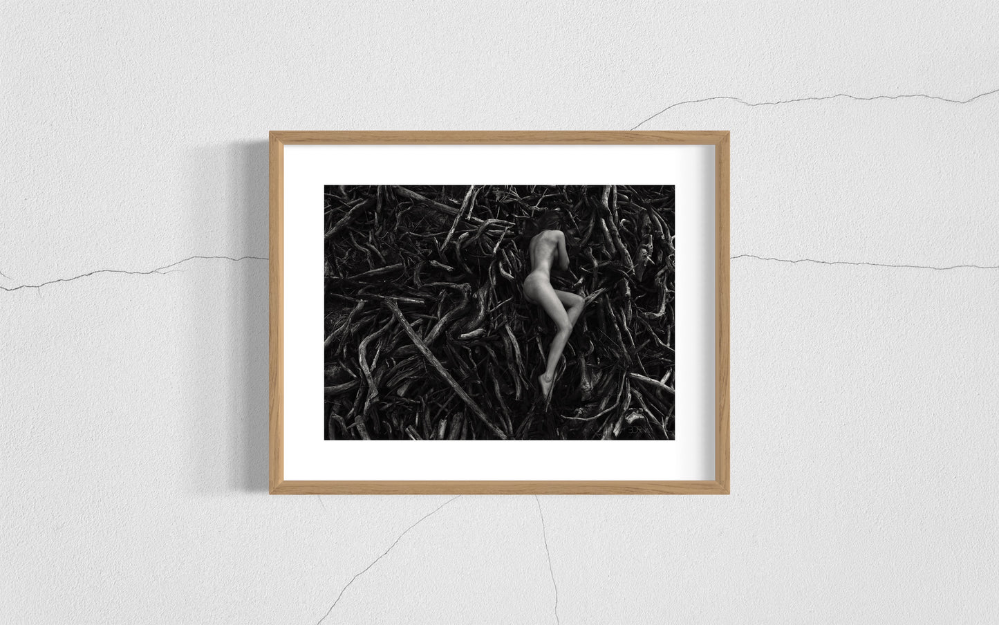 Earth Shapes 1 - Ketil Born