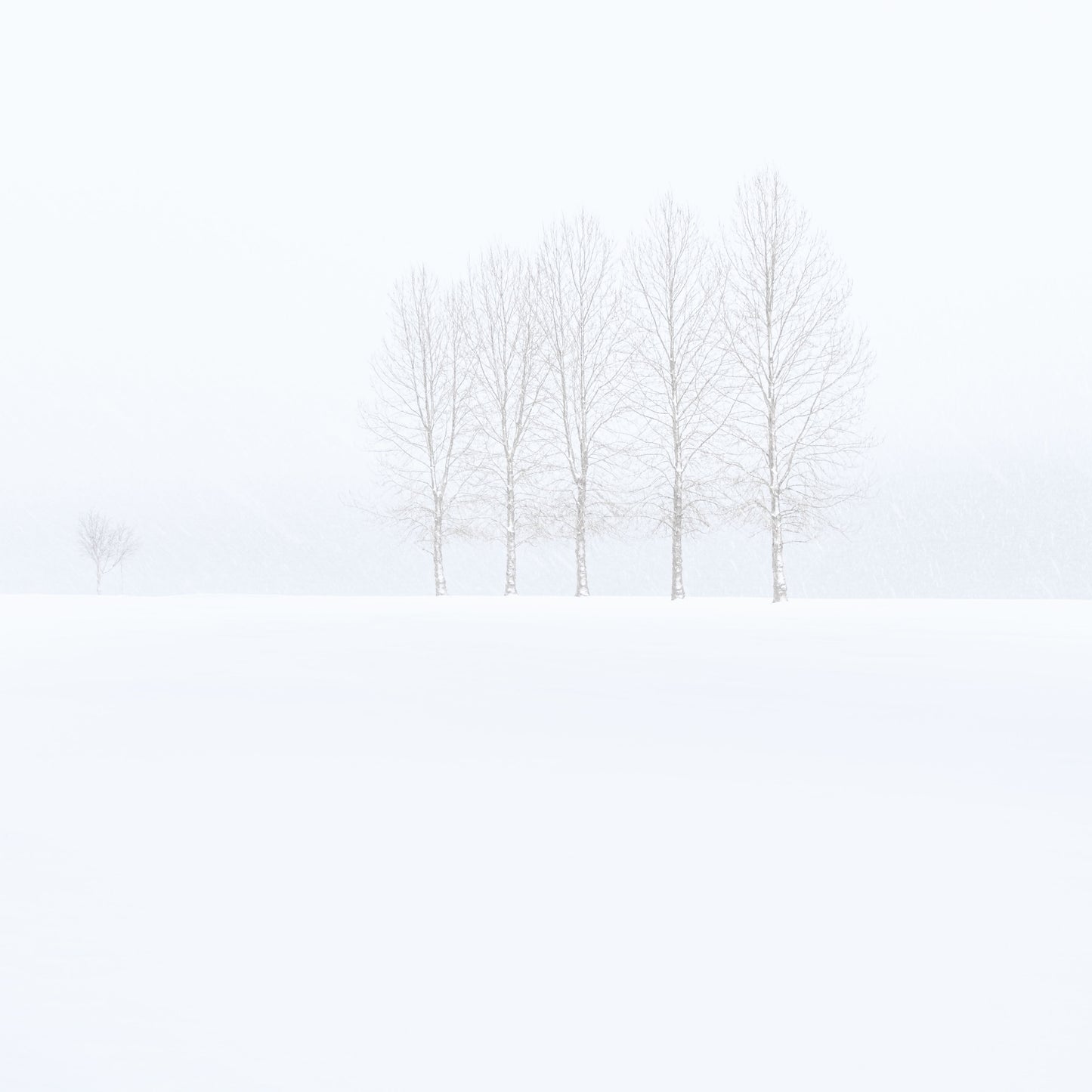 Cowardly Team - Arild Heitmann