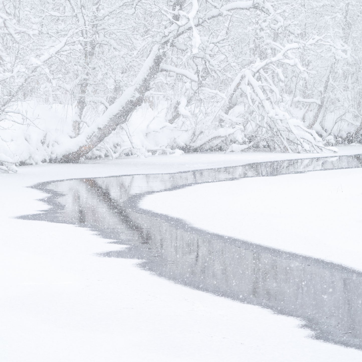 Winter River - Arild Heitmann