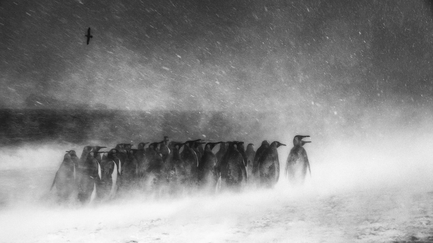 Come together - Wilfred Wessel Berthelsen