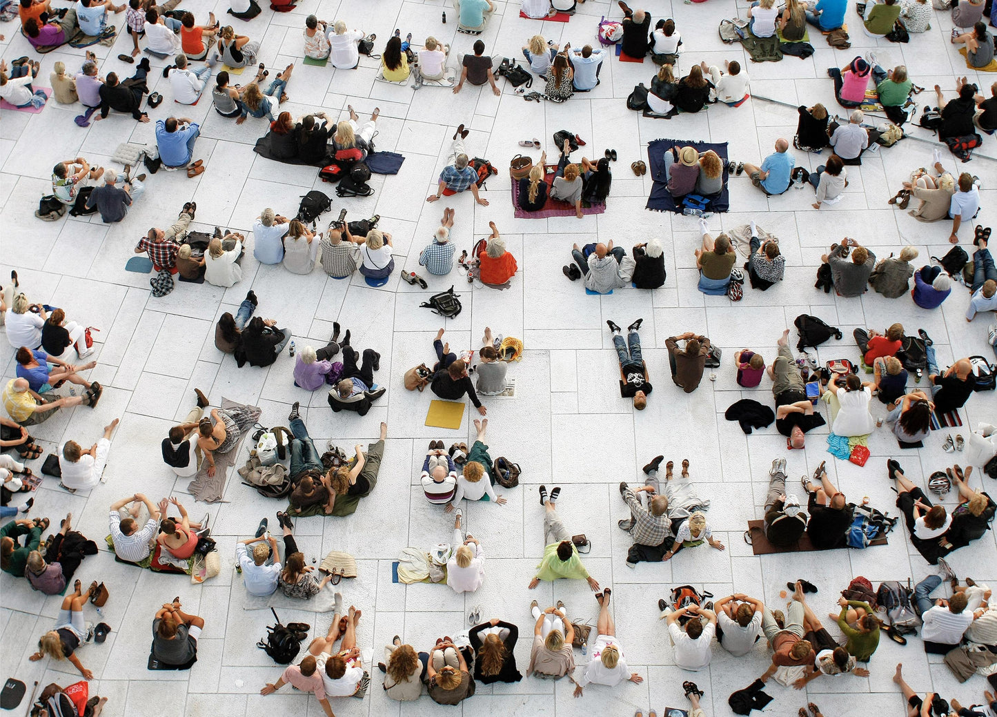 Operndach - Liz Palm