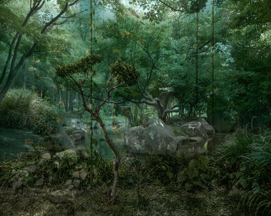 Japan Forest - Erik Fuglseth
