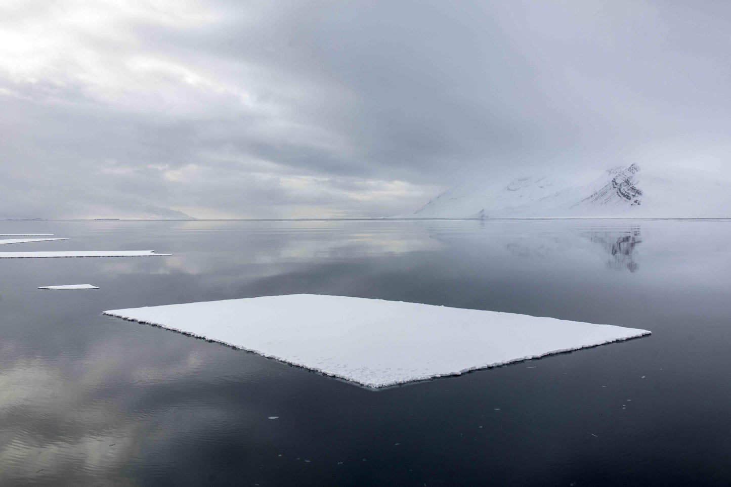 Square - Pål Hermansen