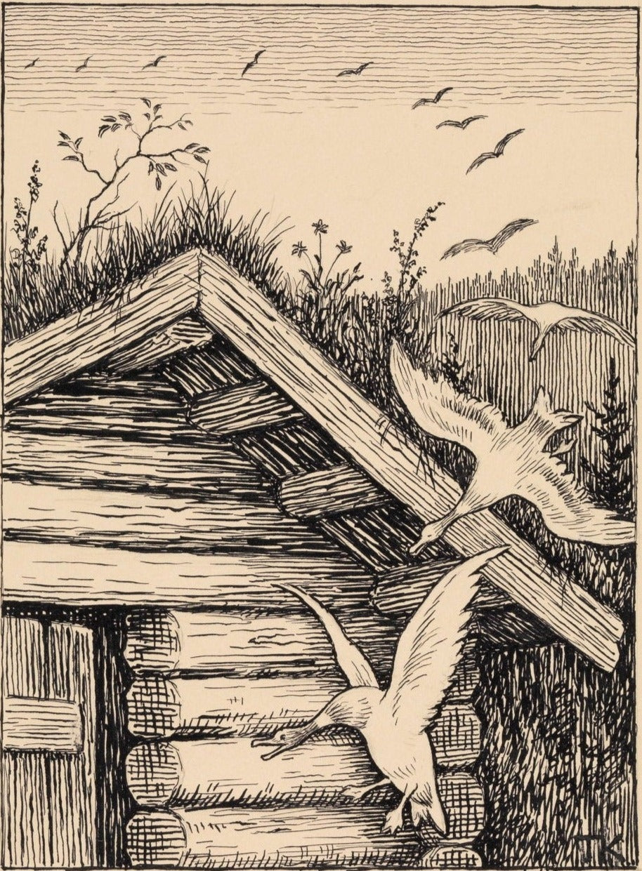 Es rauschte und kreischte in der Luft, und dann kamen alle Wildenten angerannt