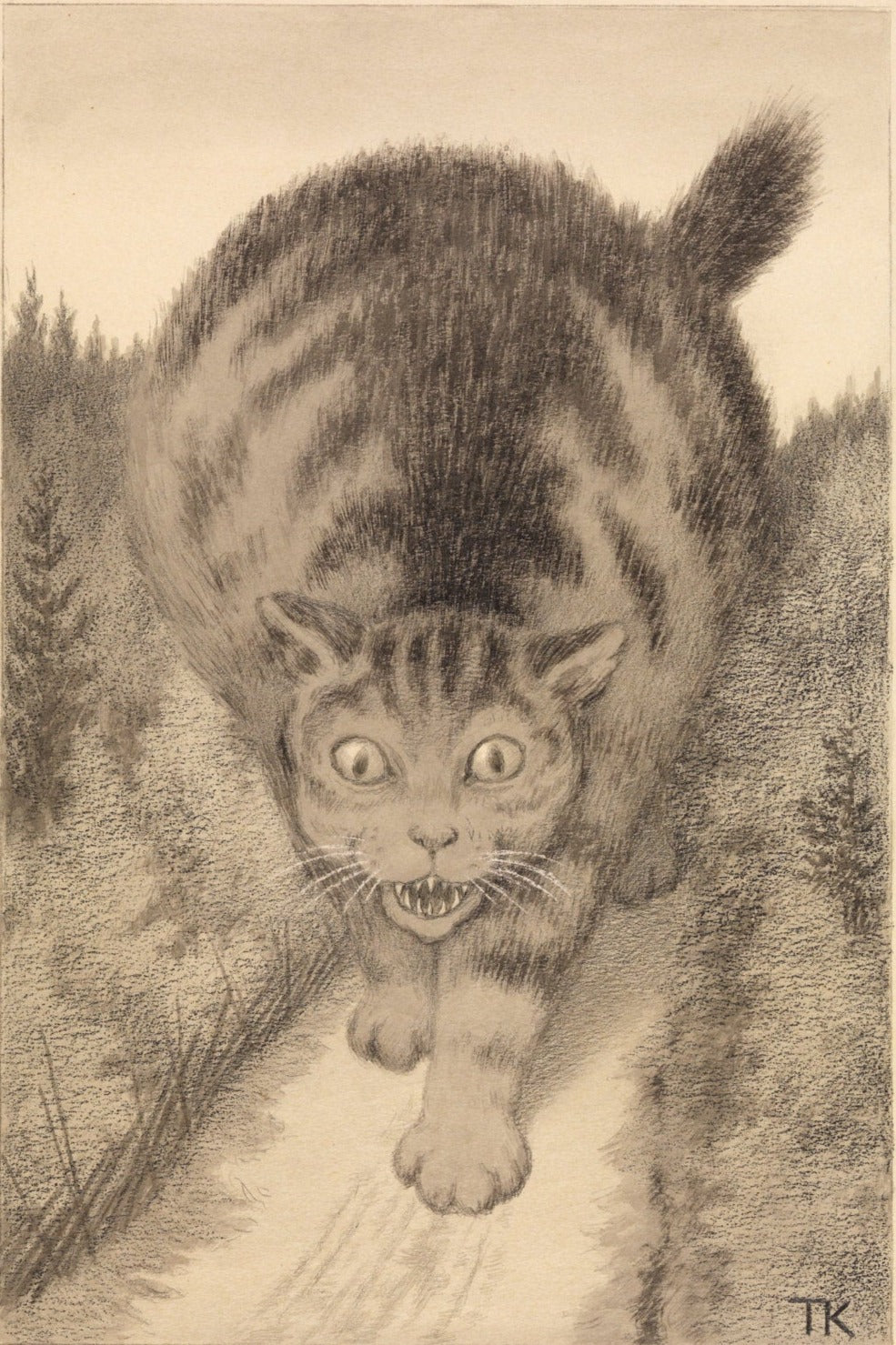 Så gikk kjetta langt og lenger enn langt