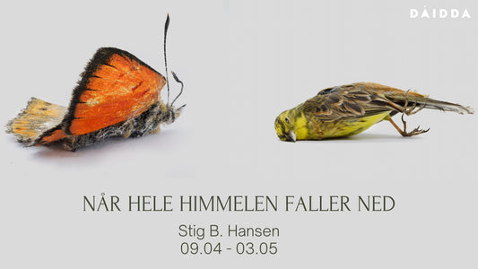 09.04 - 03.05 2026: Når hele himmelen faller ned - Stig B. Hansen