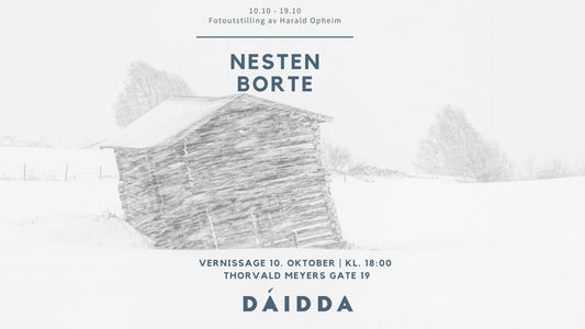 Harald Opheim - Nesten borte: 10.10 - 19.10.24