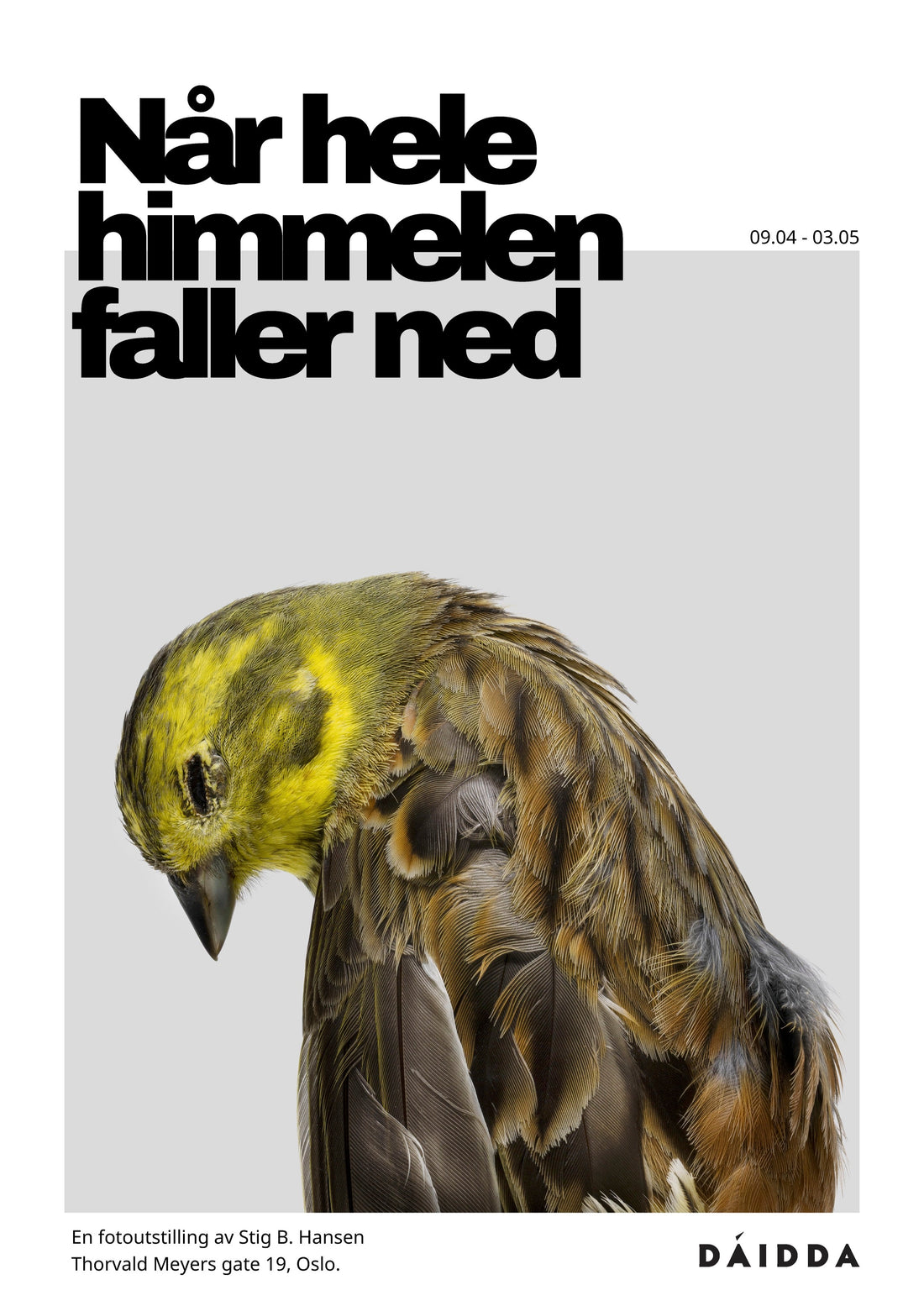 09.04 - 03.05 2026: Når hele himmelen faller ned - Stig B. Hansen