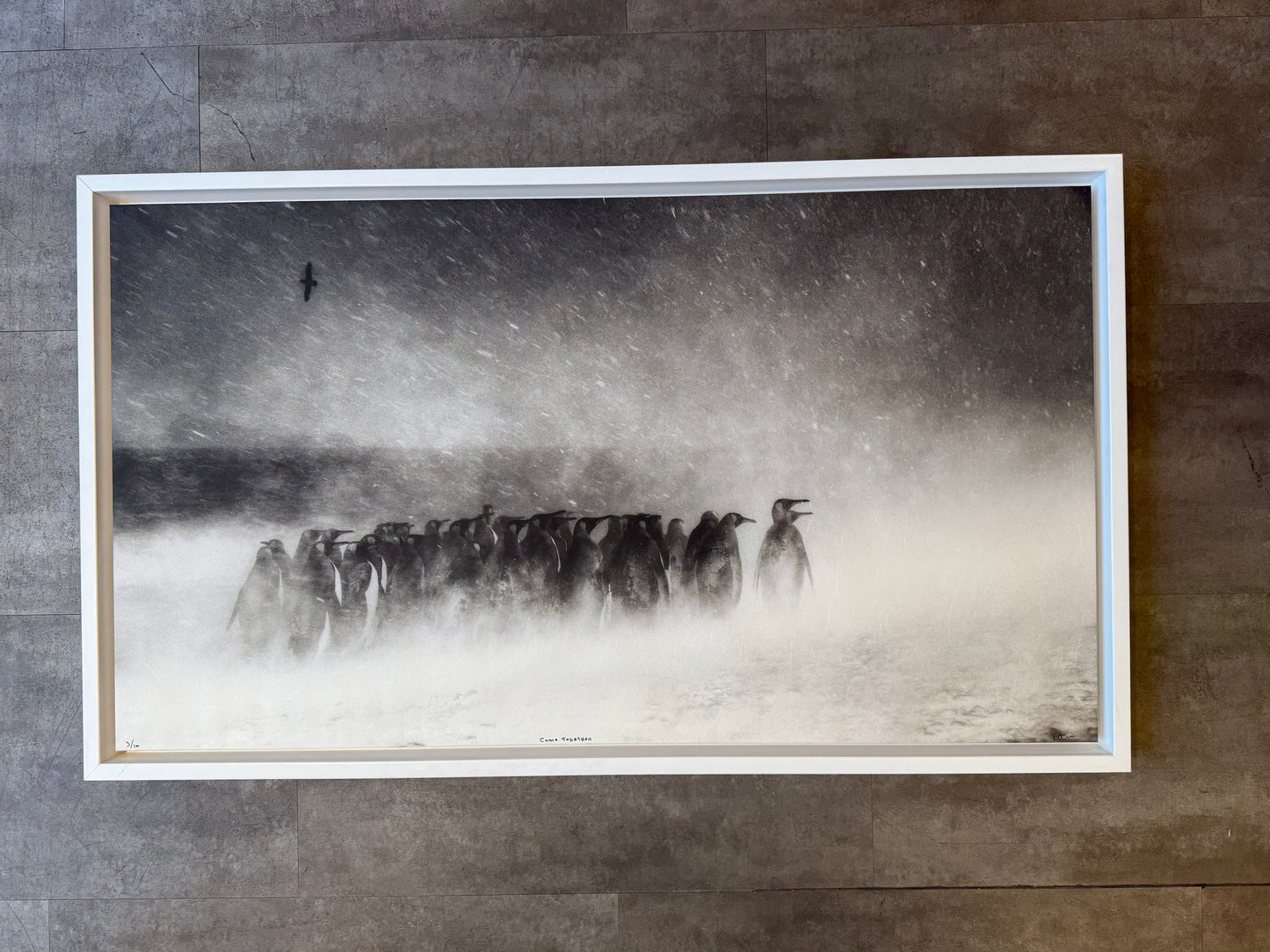 Come together  - Wilfred Wessel (Auksjon)