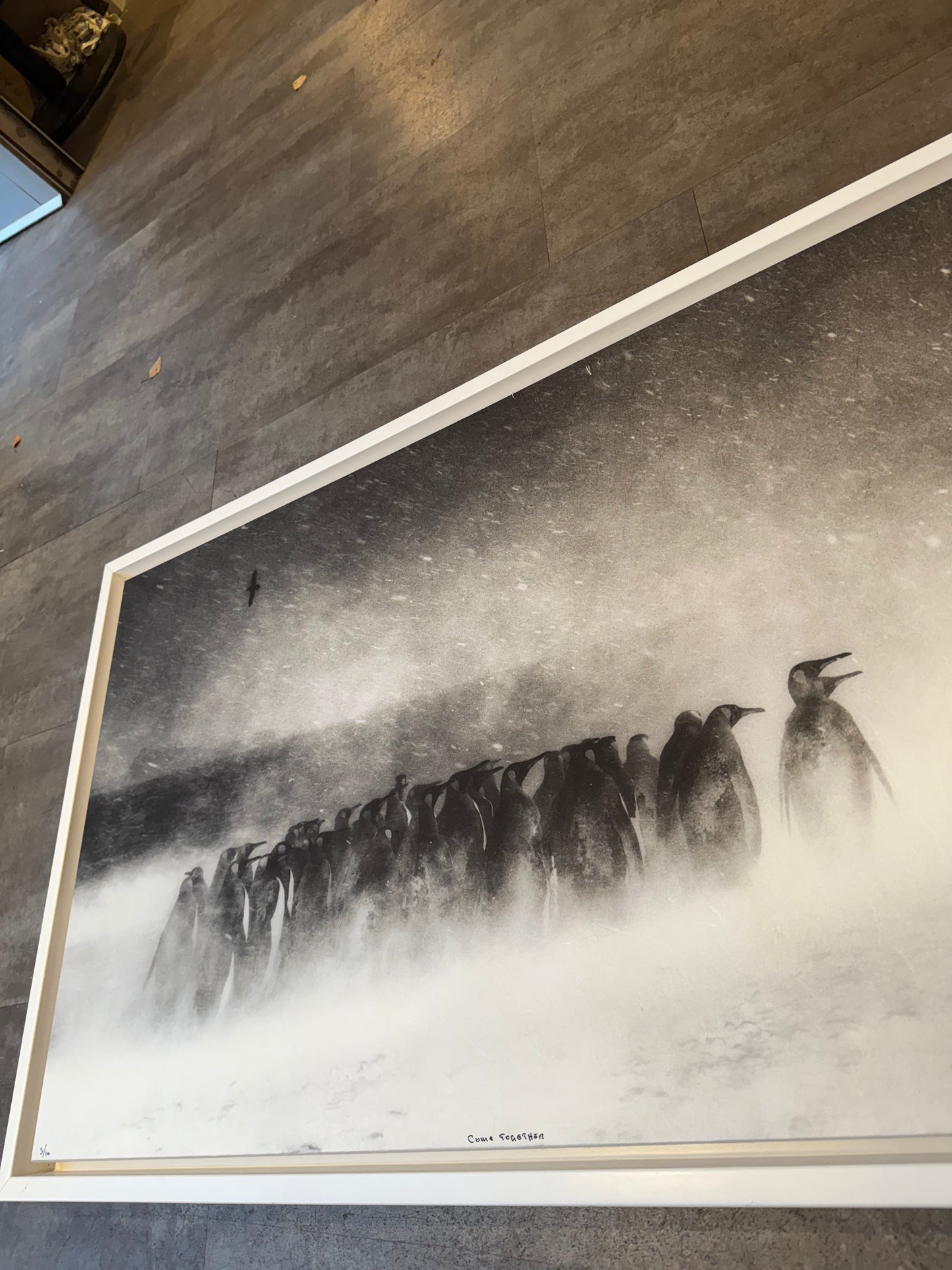 Come together  - Wilfred Wessel (Auksjon)