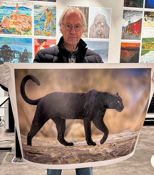 To-dagers printworkshop i Epson LUT printing. Fra bildefil - til printing - til utstilling.