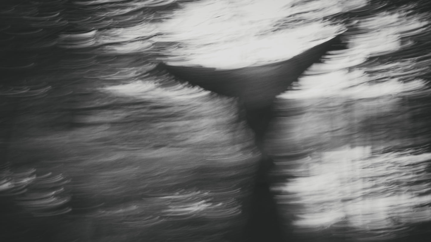 Come together - Wilfred Wessel Berthelsen 