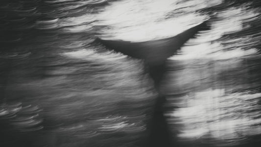 THRESHOLD - Wilfred Wessel