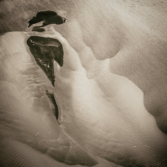 LEIA - Wilfred Wessel