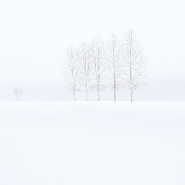 Feige Lag - Arild Heitmann