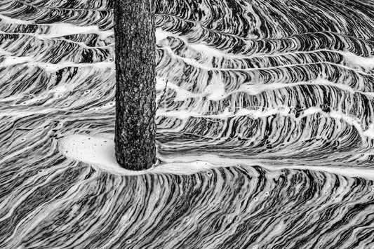 Foam wood - Jan Magnus Reneflot
