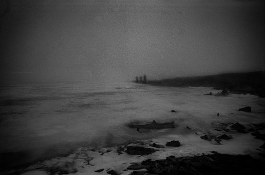 Nebel - Cato Lein