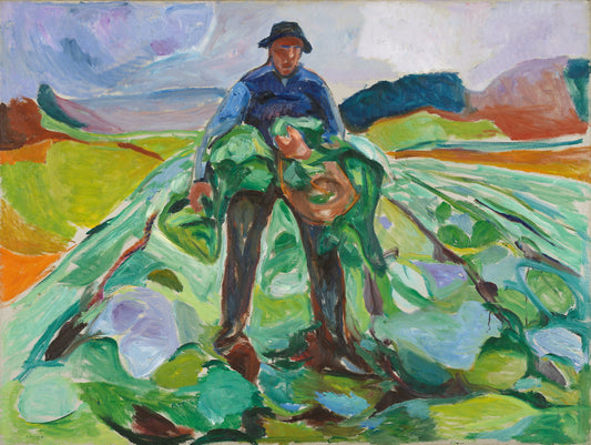 The man in the cabbage field